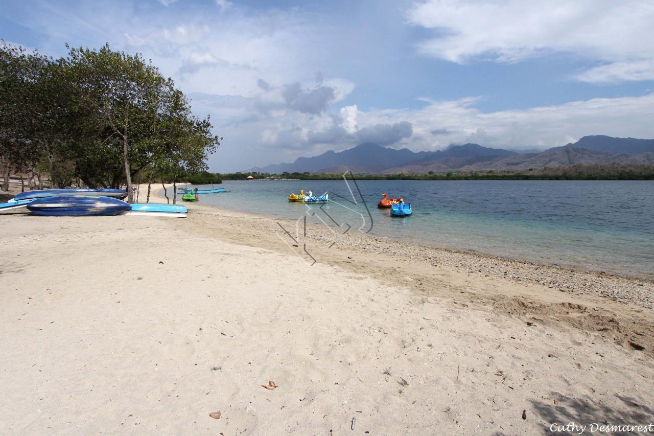 la presqu'île de Menjangan, spot plongée et snorkeling