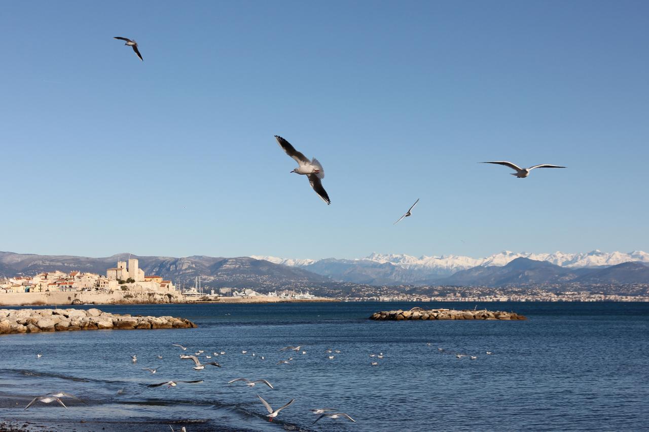 Antibes en décembre 2011 - 60D