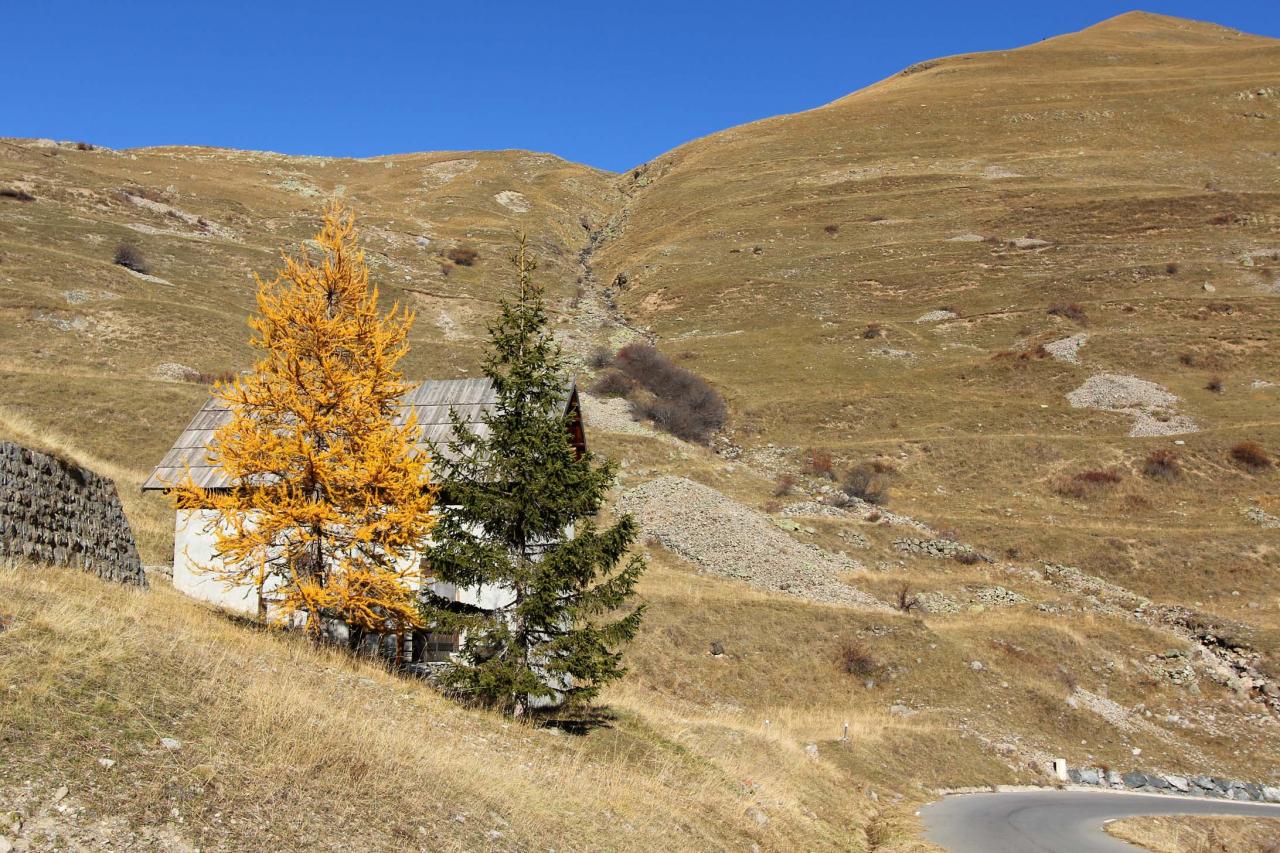 Les couleurs chaudes de l'automne avant la neige ... un régal !