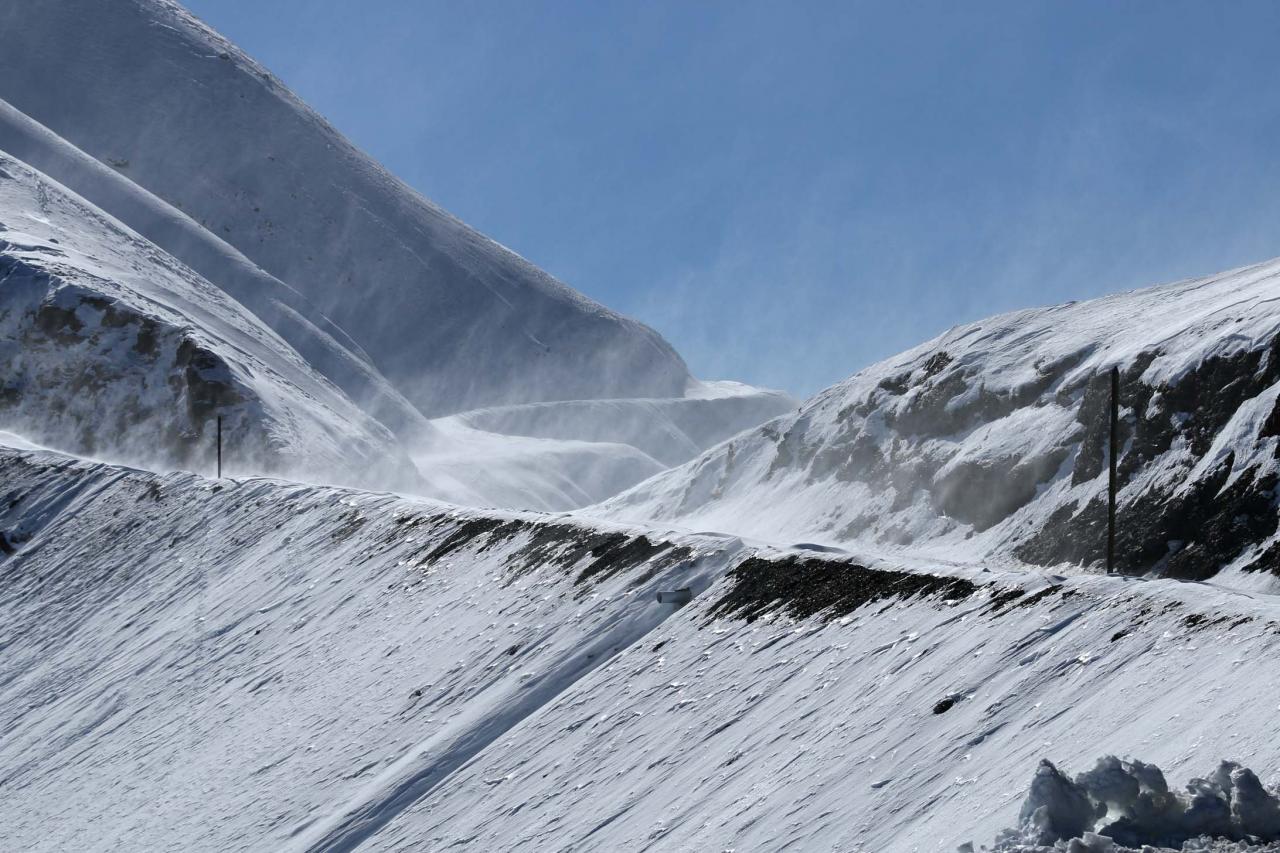 5° et un vent glacial se met à souffler... juste pour la photo 