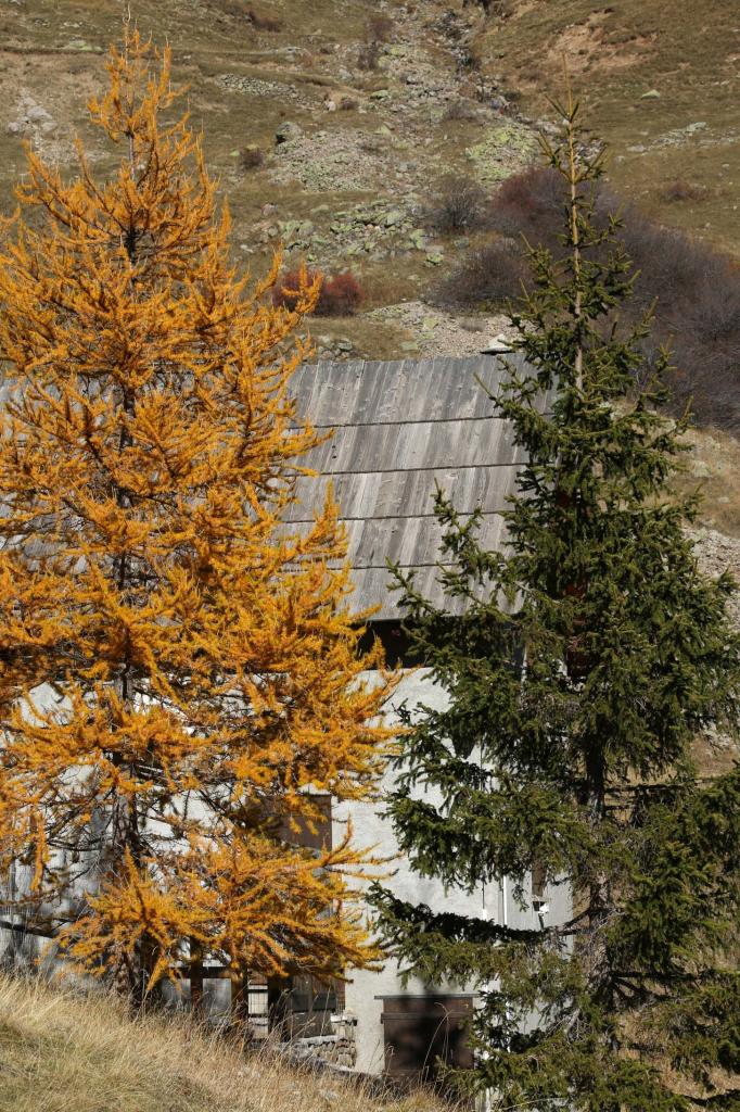 Les couleurs chaudes de l'automne avant la neige ... un régal !